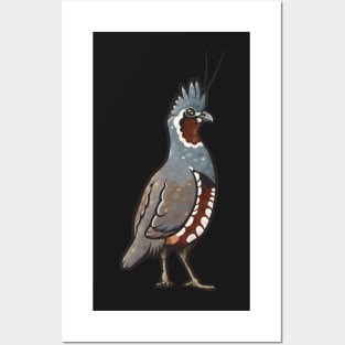 Mountain Quail Posters and Art